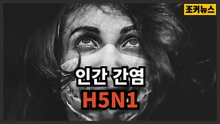 [필시청] 13년 전에 이미 만들어 놓다 Human infection H5N1