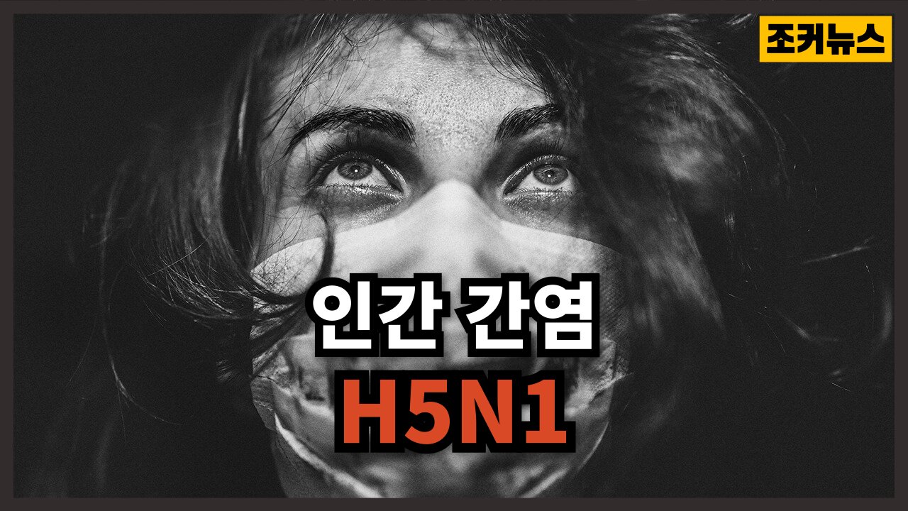 [필시청] 인간 감염 조류독감 13년 전에 이미 만들어 놓다 Human infection H5N1