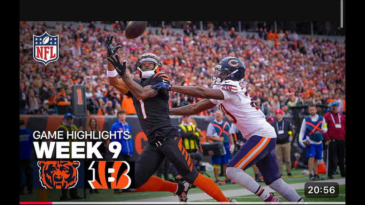 Chicago Bears vs Cincinnati Bengal’s history highlights