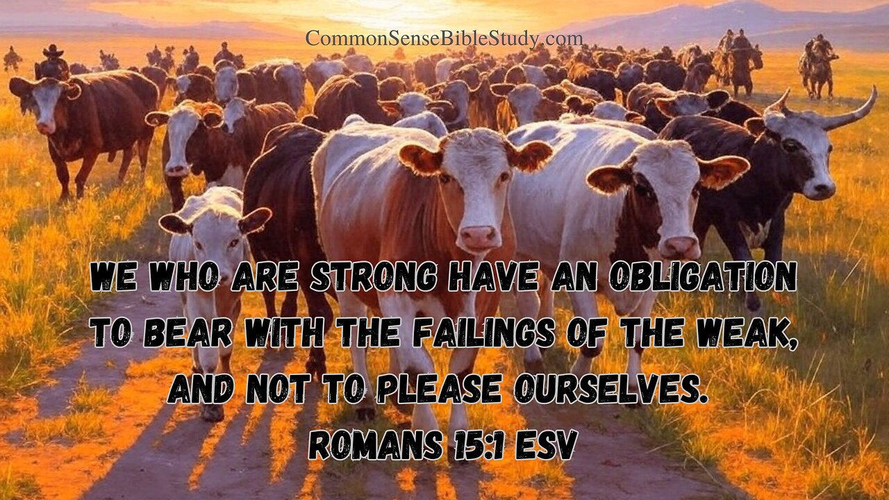 Romans 15:1-3 and We Who Are Strong