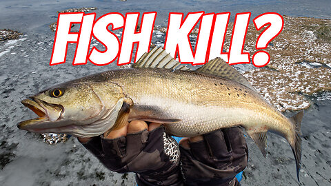 How will the Gulf Coast Blizzard affect Louisiana's inshore fishing?