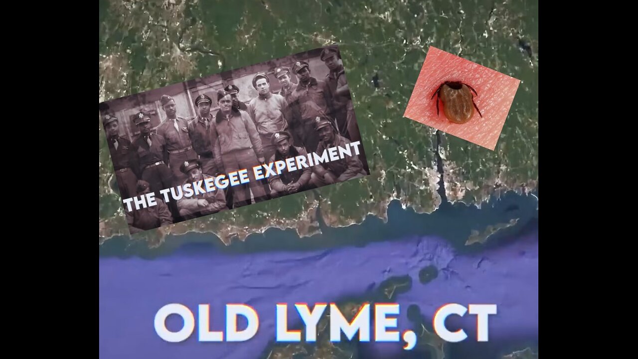 I Knew this about Lyme's YEARS ago, yet I was called Crazy.