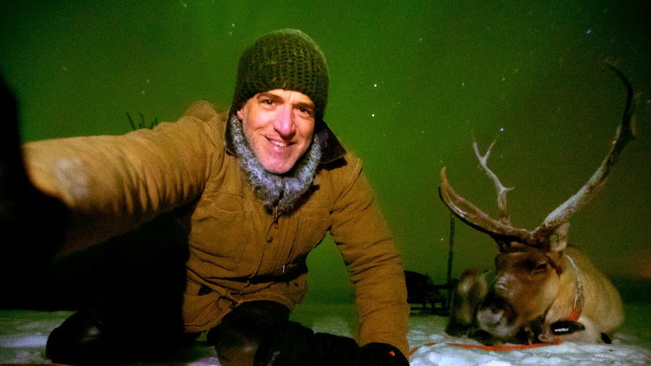 Reindeer Selfies With The Northern Lights