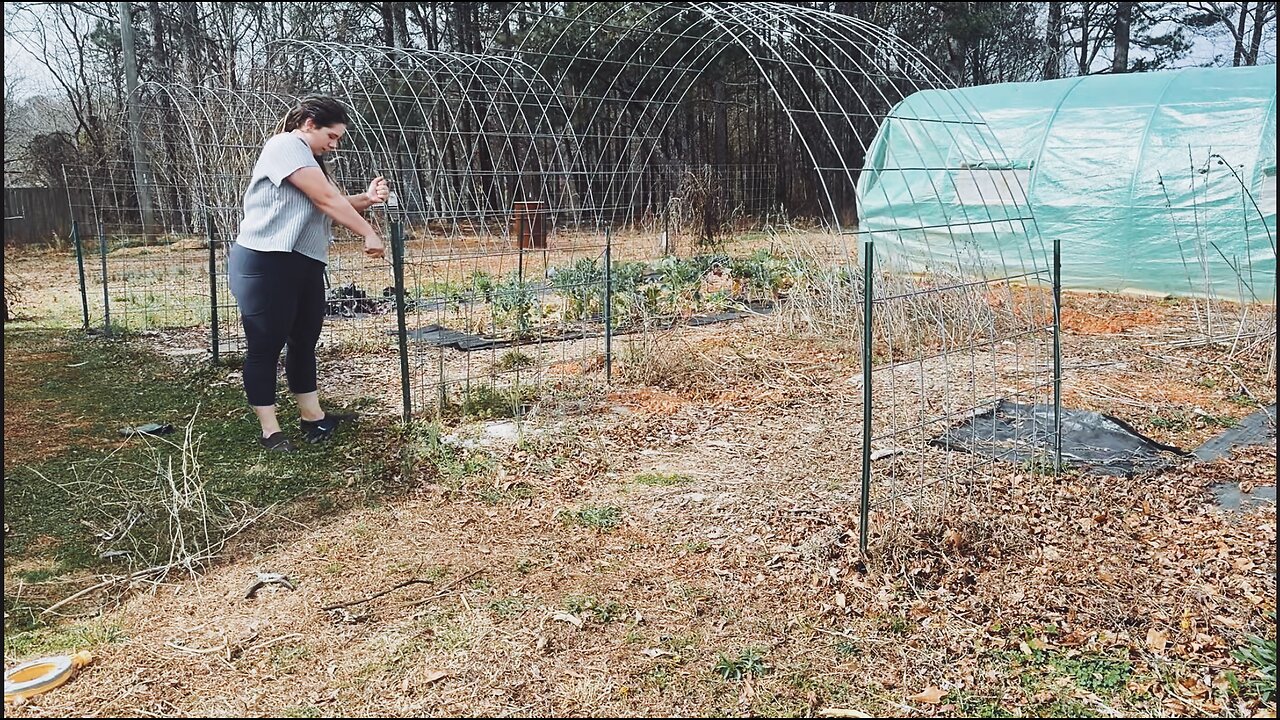 March Garden Series: Day 2/15 | Taking Down Cattle Panel Trellis, Hardening off Tomatoes & A Frost