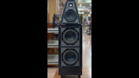 Wilson Audio Wattpuppy 6 Speaker