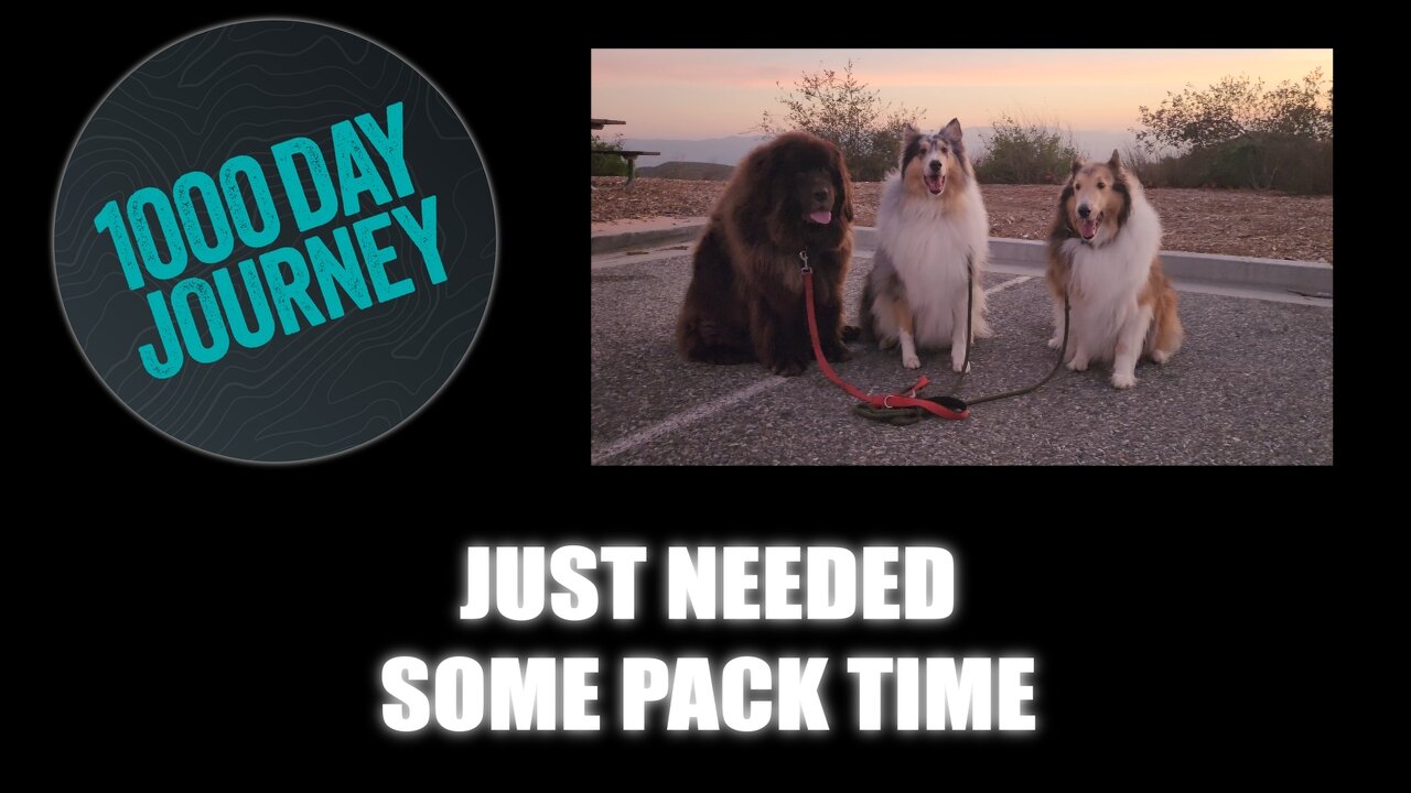 1000 Day Journey 0886 Just Needed Some Pack Time