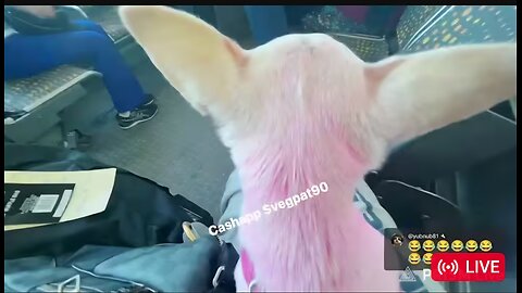 🛑 VP (P1) SHORT STREAM ON THE BUS 1-20-26