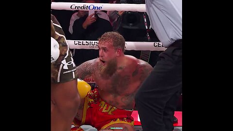 2025 was a Crazy Year. All the News.