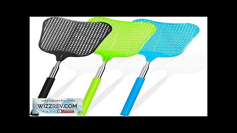 Telescopic Fly Swatter Hiway 3 Pack Fly Swatter for Indoors Plastic Flyswatter Review