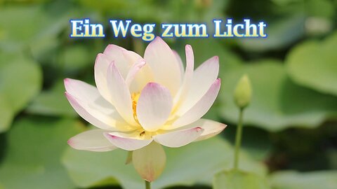 Ein Weg zum Licht