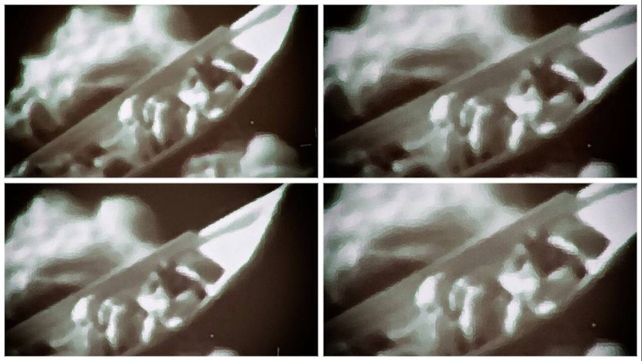 Embedded Drug Cartels Torn Out