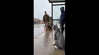 Love All Life Always #347 - Surprise, He's Back!