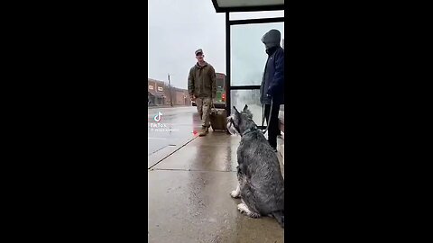 Love All Life Always #347 - Surprise, He's Back!