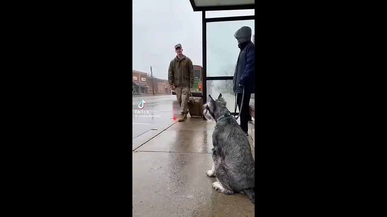 Love All Life Always #347 - Surprise, He's Back!