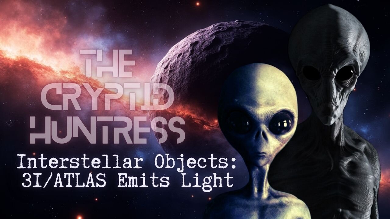 INTERSTELLAR OBJECTS & ALIEN PROBES WITH JOHN VANDEVENTER & NIKKI JOHNSON