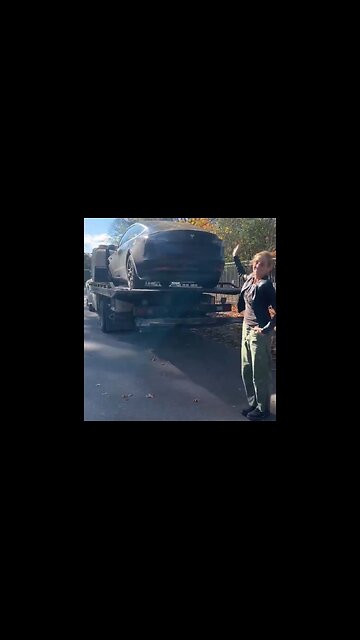 Priceless: What Sheryl Crow Just Did With Her Tesla Accidentally Proves Elon Musk's Point