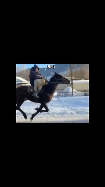 Bro Riding Like A Bat Out Of Hell On Horse While Carrying His Dog Learns Not To Speed On Icy Roads