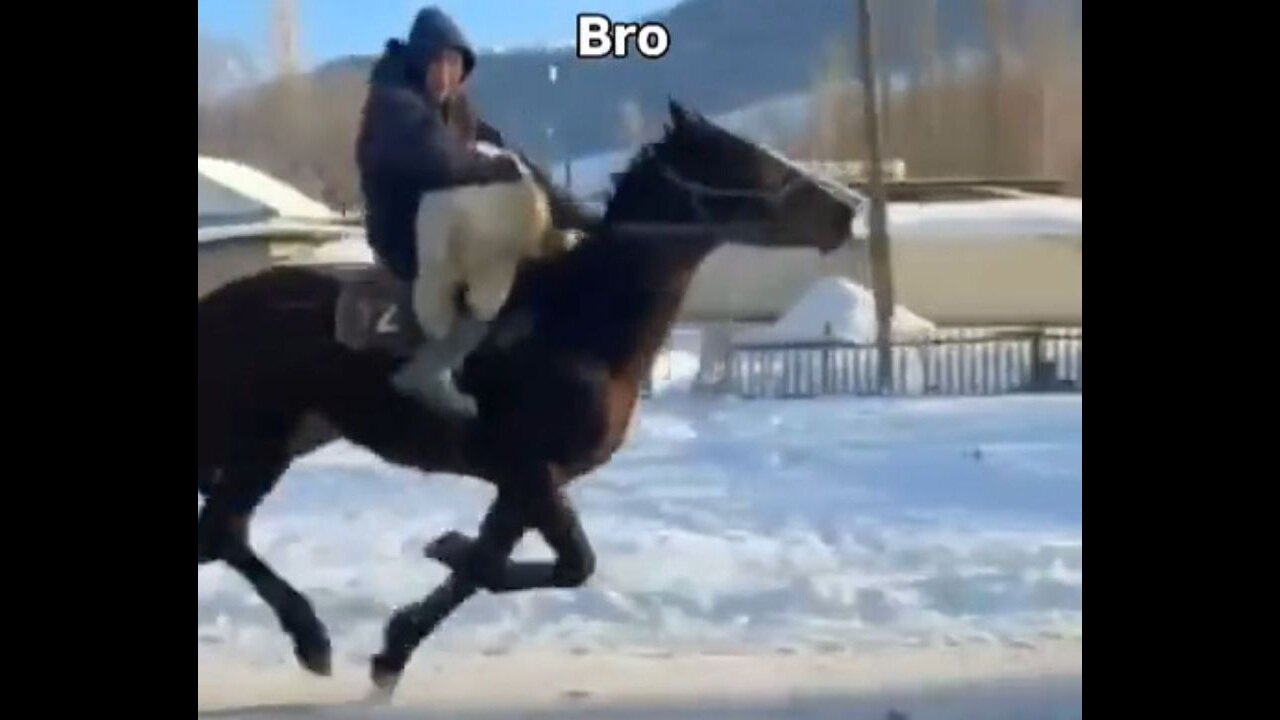 Bro Riding Like A Bat Out Of Hell On Horse While Carrying His Dog Learns Not To Speed On Icy Roads