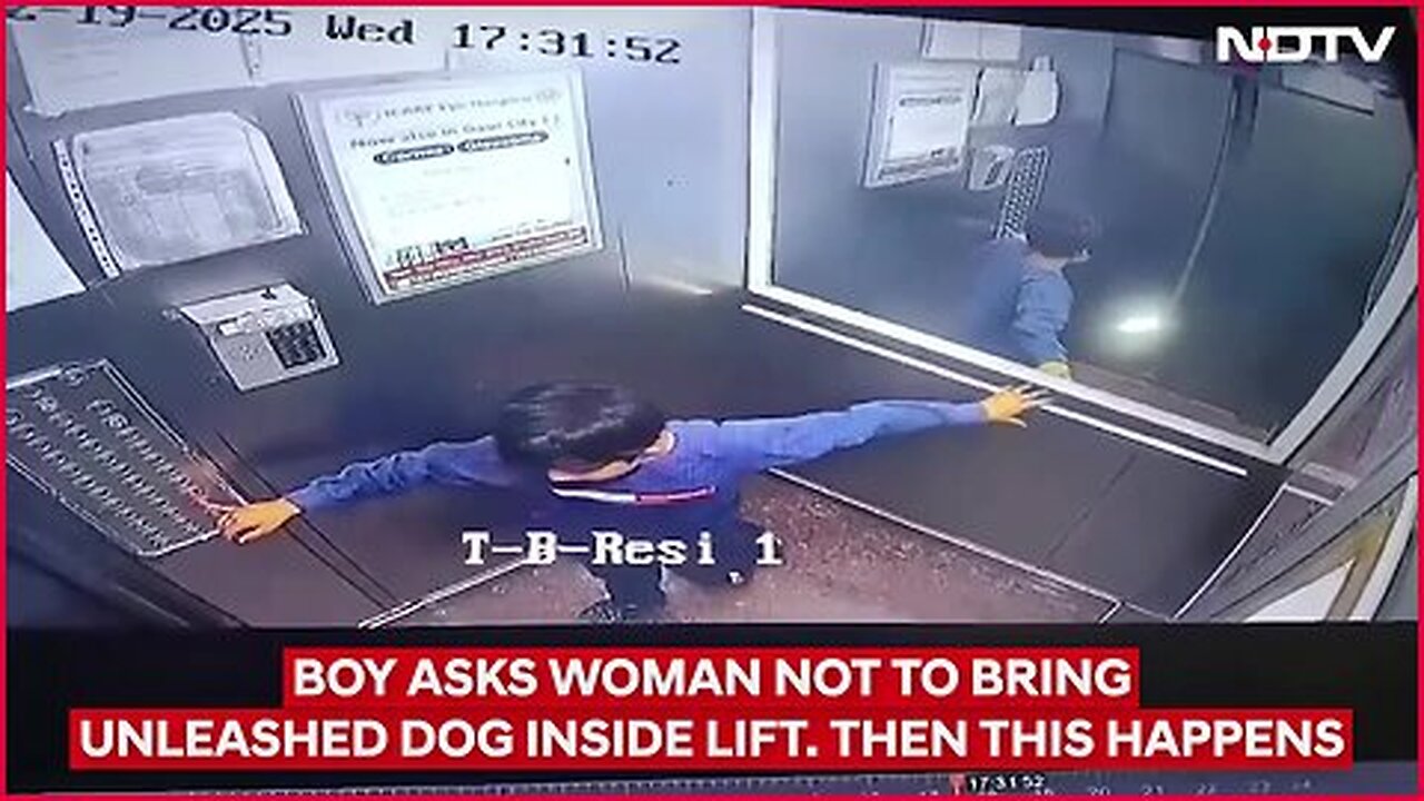 Noida News _ Boy Asks Woman Not To Bring Unleashed Dog Inside Lift. Then This Happens