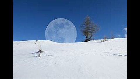 Snow moon Live