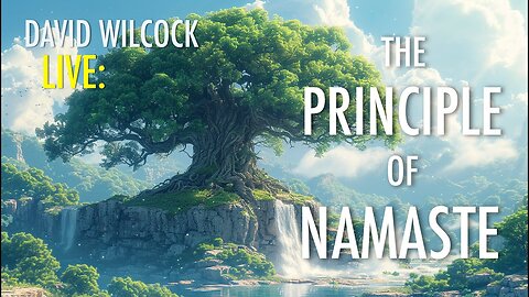 David Wilcock LIVE: The Principle of Namaste 