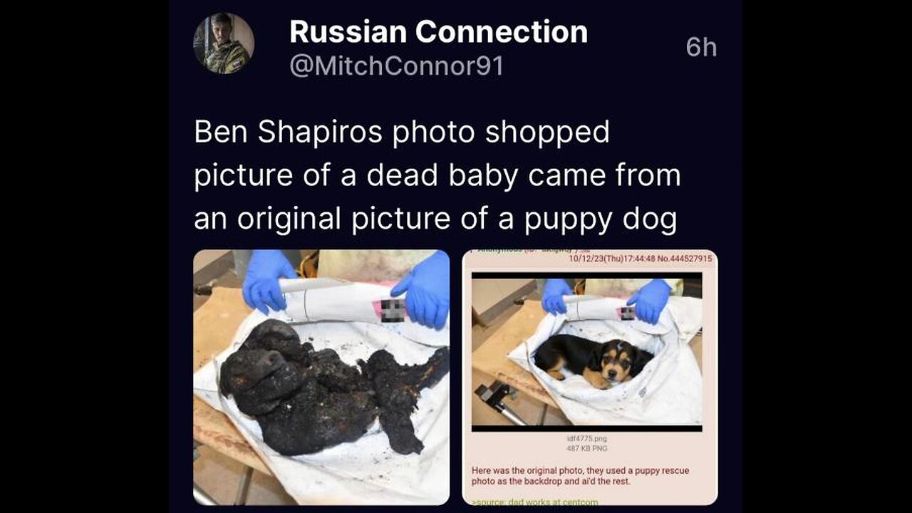 Megyn Kelly CALL OUT Candace deranged israel jew zionist ben shapiro Lies in your face about Candace