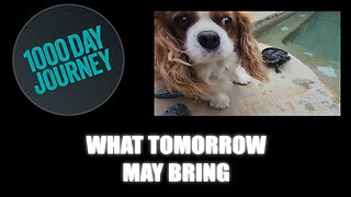 1000 Day Journey 0818 What Tomorrow May Bring