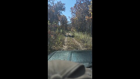 Mark Twain Forest Road