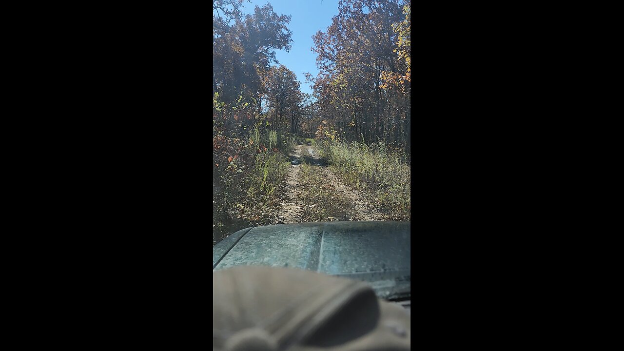 Mark Twain Forest Road