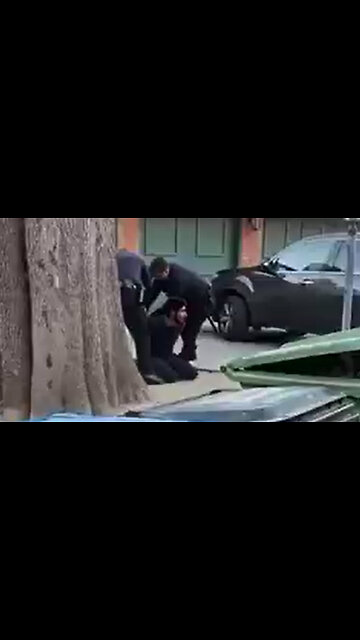 Another Illegal Alien brought in by the Biden Admin caught setting Fires around Los Angeles! 🔥