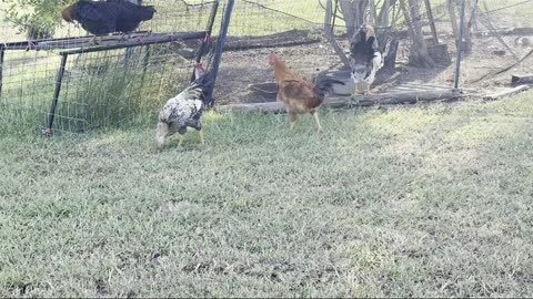 Giacomo 4:7 #Bibbia #Italiano #vida #Gesu