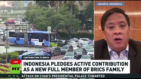 We expect increased cooperation with BRICS countries – Indonesian-Russian Trade Committee chairman