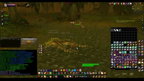 Turtle wow - PUG Black Moras custom dungeon - Paladin POV - no commentary