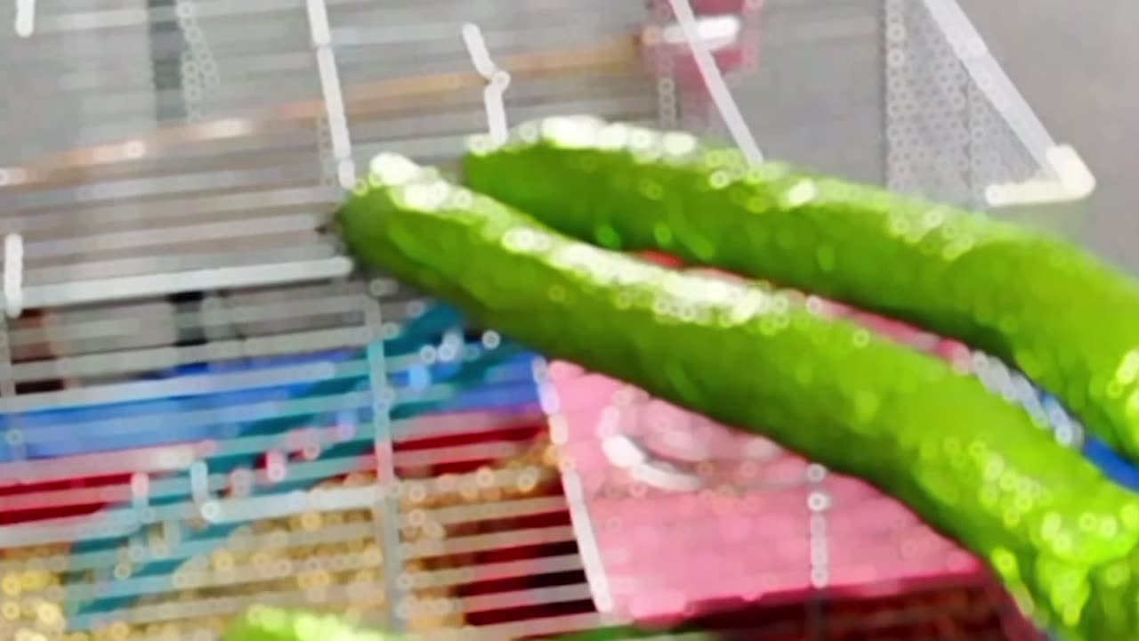 Salad Fingers Helps Hungry Hamsters 🐹 🐹