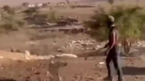 Israelis torture dogs