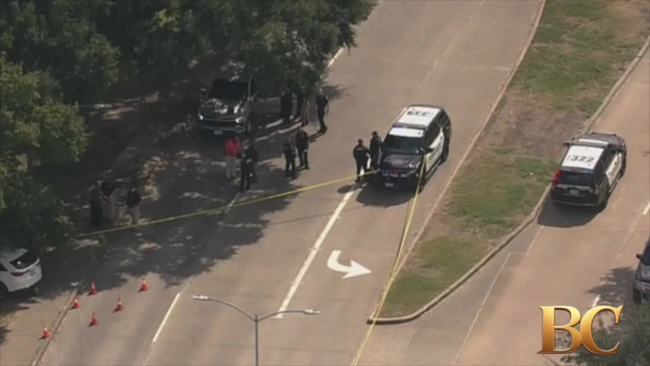 Gunman kills 3 in Houston-area shooting spree, police say