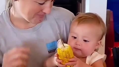 funnyvideo 5