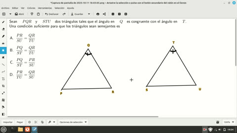 question about similar triangles