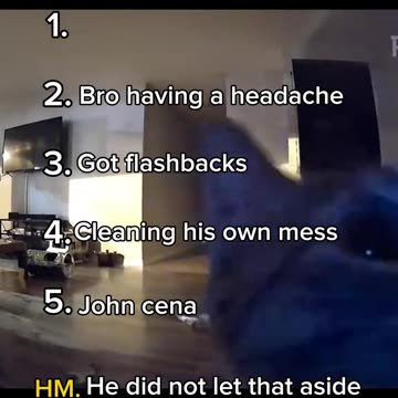 Ranking cats funny moments