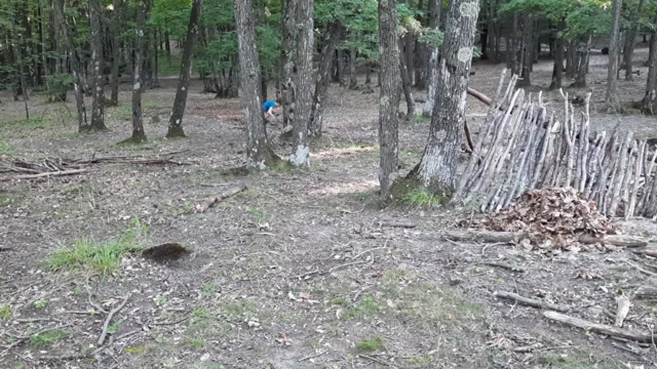 I camped alone in the forest for a night for only 25 LEI!