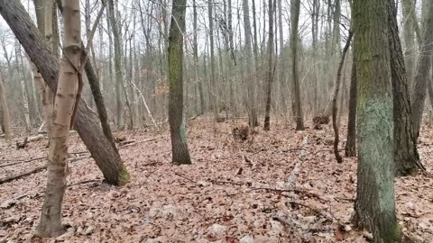 błogosławię i ufam...