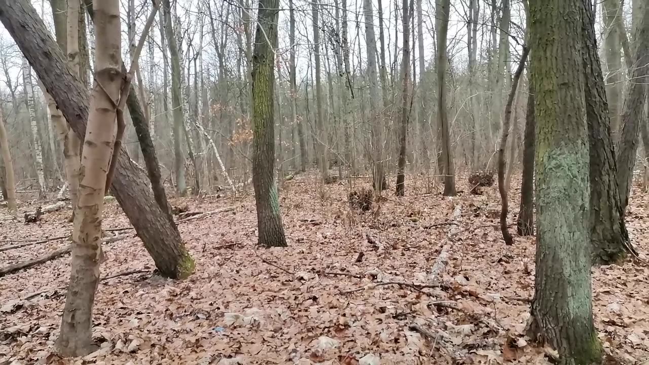 błogosławię i ufam...