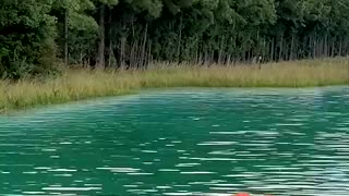 Amazing: Will A Basketball Boat Hold My Weight?