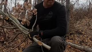 Clean Firewood & Brush_ Simple Safety for Your Cabin #livingoffgrid #offgrid #homesteading