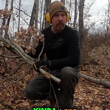 Clean Firewood & Brush_ Simple Safety for Your Cabin #livingoffgrid #offgrid #homesteading