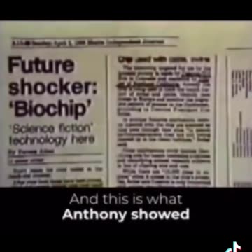 Guess the year 😎🔍🐇