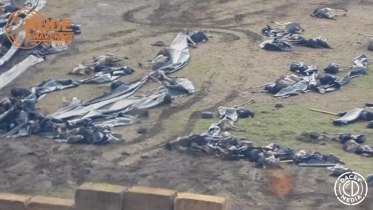 That's your Canadian government right there that just did this