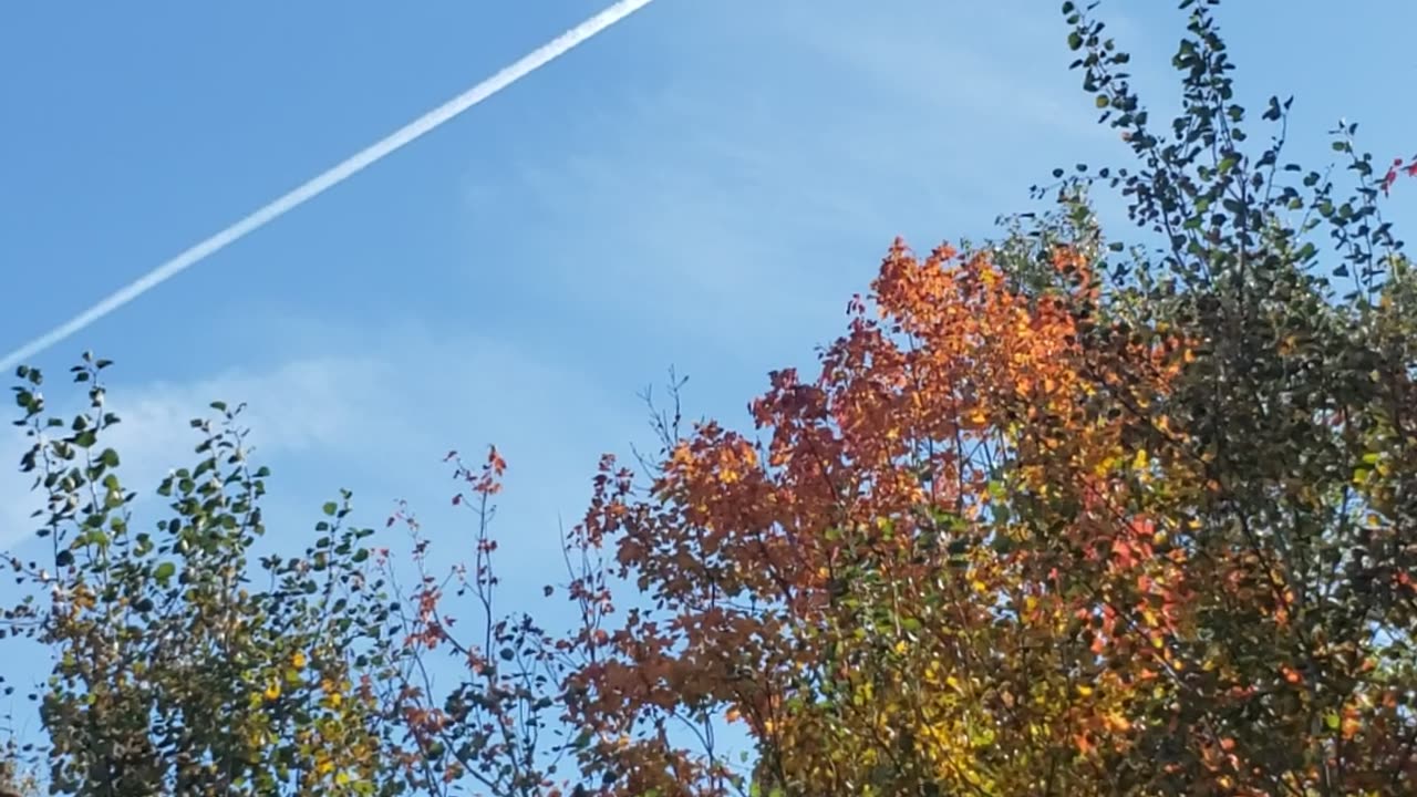 Pictou County, Nova Scotia, CANADA Chemtrails October 7th 2025 11:48AM