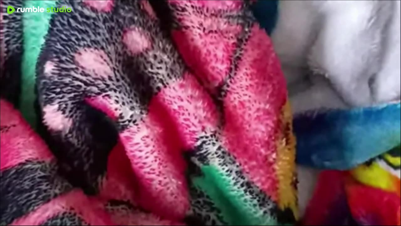 harden not your hearts