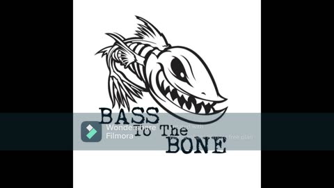 bass in my bones